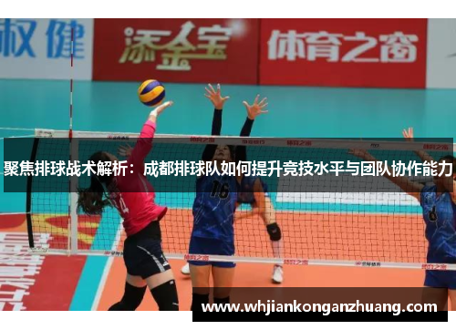 聚焦排球战术解析：成都排球队如何提升竞技水平与团队协作能力
